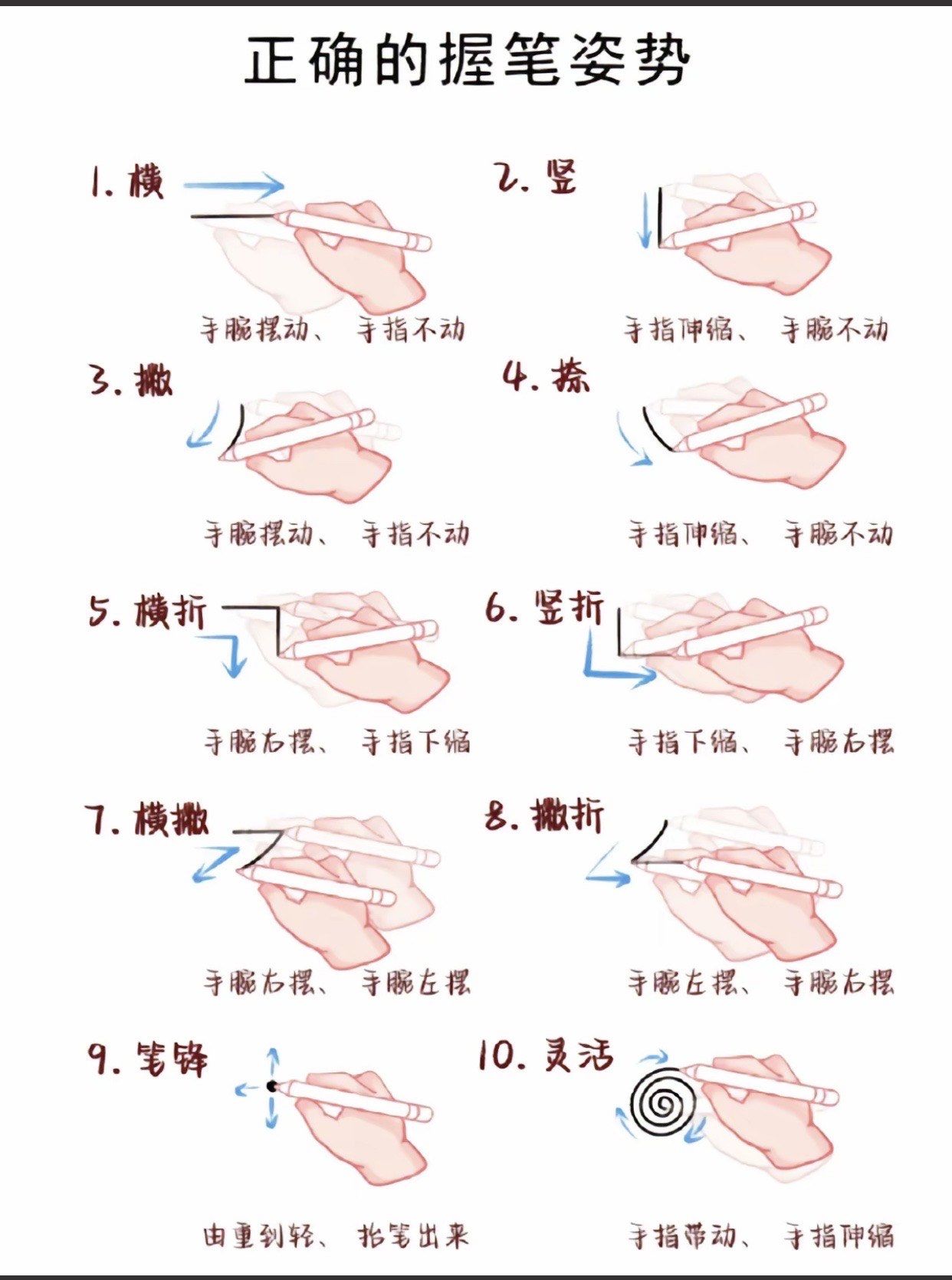 自学画画基础练习