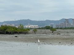 -盐洲岛