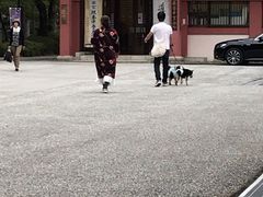 -比叡山
