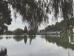 -鲁镇