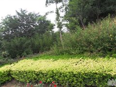 -回龙观体育文化公园