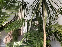 -甲乙果 美术书法(通州校区)