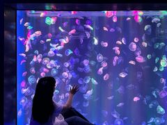 -海合安成都极地海洋公园