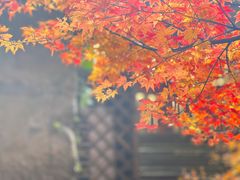 -庐山风景名胜区