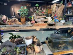 -周忆刺青原创设计定制