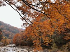 -光雾山旅游景区