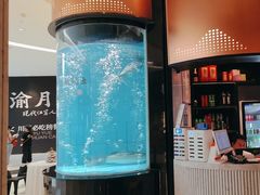 -谭厨中山传家菜.乳鸽.脆鲩鱼(华强北中航城店)