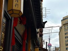 -成隆行·蟹王府(九江路店)