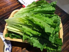 生菜-同顺鹅庄(南华路店)