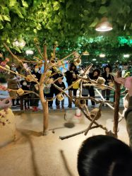 -酷嗒动物文化乐园(cutezoo西溪乐天城店)