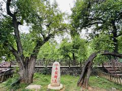 -大理洱源西湖景区