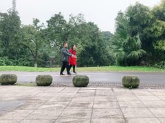 -张坝桂圆林公园