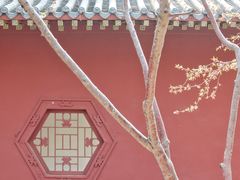 -桃花堤公园