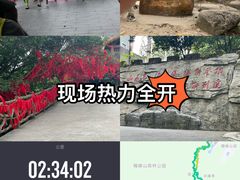 -广州市帽峰山景区