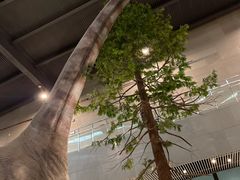 -湖南省地质博物馆