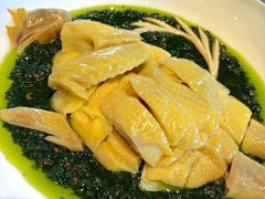 葱香椒麻湛江鸡-许家菜(望江店)