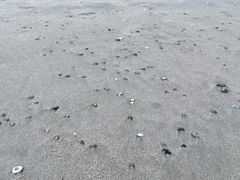 -青澳湾北回归线广场