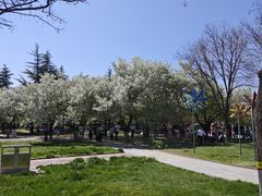 -石家庄市植物园