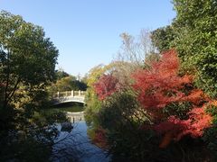 -桃花岛景观公园