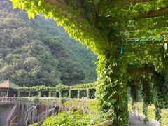 -郧西五龙河风景区