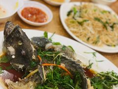 清蒸石斑鱼-揭阳钟记小食(福田新村店)