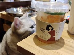 -炖物24章·顺时轻养茶(杭州保利时光里店)