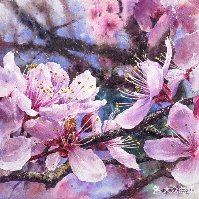 台湾画家林经哲樱花水彩画作品欣赏[礼花][礼花]