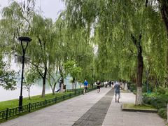 -杭州西湖柳莺里酒店·闻莺厅