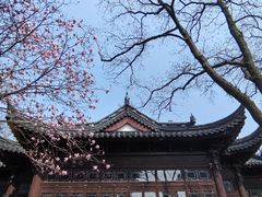 -枫桥景区
