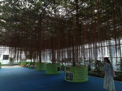 -兰陵国家农业公园