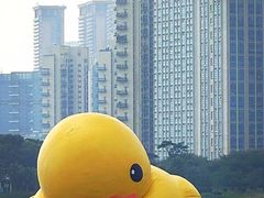 -深圳人才公园
