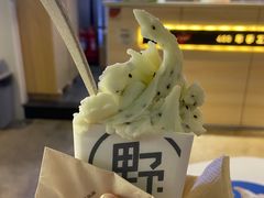 奇异果冰激凌-野人牧坊Gelato(天津南开大悦城店)