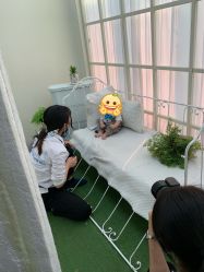 -亲吻宝贝儿童摄影