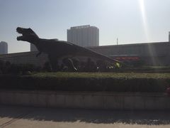 -陕西自然博物馆