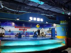 -重庆欢乐海底世界