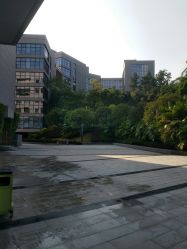 -小米熊儿童医院