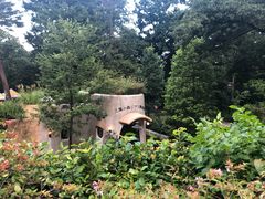 -三鹰之森吉卜力美术馆