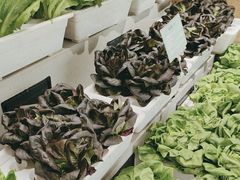 -九孔·筒骨莲藕汤锅(大明宫万达店)