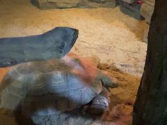 -泉州海丝野生动物世界
