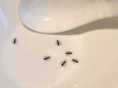 -唐宫小聚(荃湾荃新天地店)