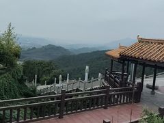 -铁山坪森林公园