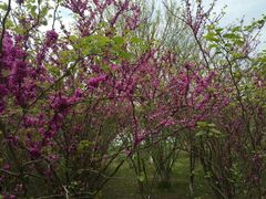 -艾溪湖湿地公园