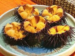 -桂马·日本料理·海胆·海鲜饭·酒场(民主广场店)