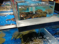 -炊江南·上海菜(国展华漕店)