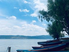 -阳宗海湿地