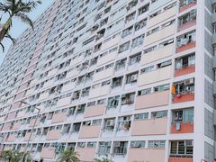 -彩虹村