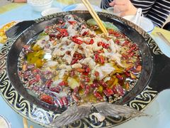 -金三可市井水煮鱼(金碧园店)