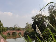 -白鹭湾湿地公园