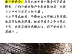 -中国农业大学(西校区)