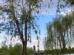 -西海子公园